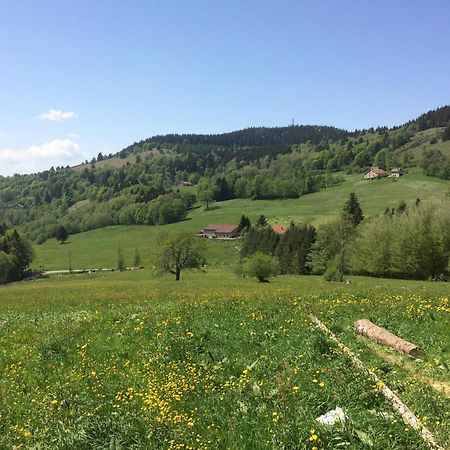 La Ferme De Jean Entre Lacs Et Montagnes Saulxures-sur-Moselotte Exterior photo